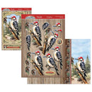 Beautiful Birds Deco-Large Set - Wonderful Woodpecker
