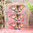 Garden Visitors Pocket Pad