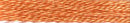 Cosmo 2402 Marigold