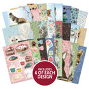 The little book of Curious cats