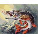 PAINT BY NUMBERS KIT. PIKE 40X50 CM