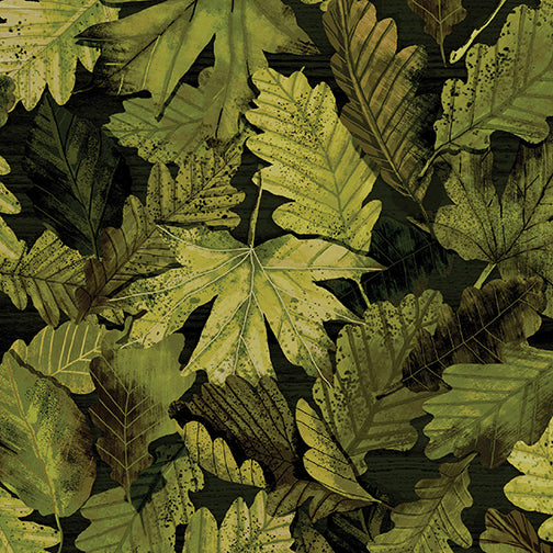 Nature walk Forest foliage 0,5m