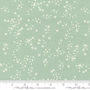 Dawn On The Prairie Dusty Mint 0,5m