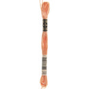 DMC 3825 Pale pumkin