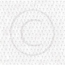 Bryllupsfest Skål for brudeparet