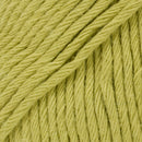 Dropa Paris 39 Wasabi Uni