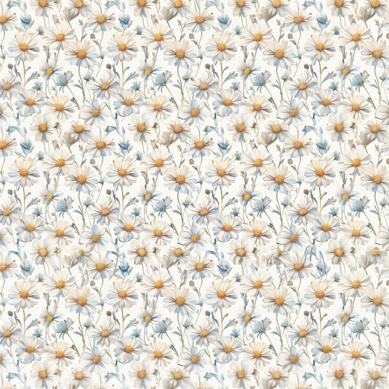 Reprint - Summer Daisies - 12x12