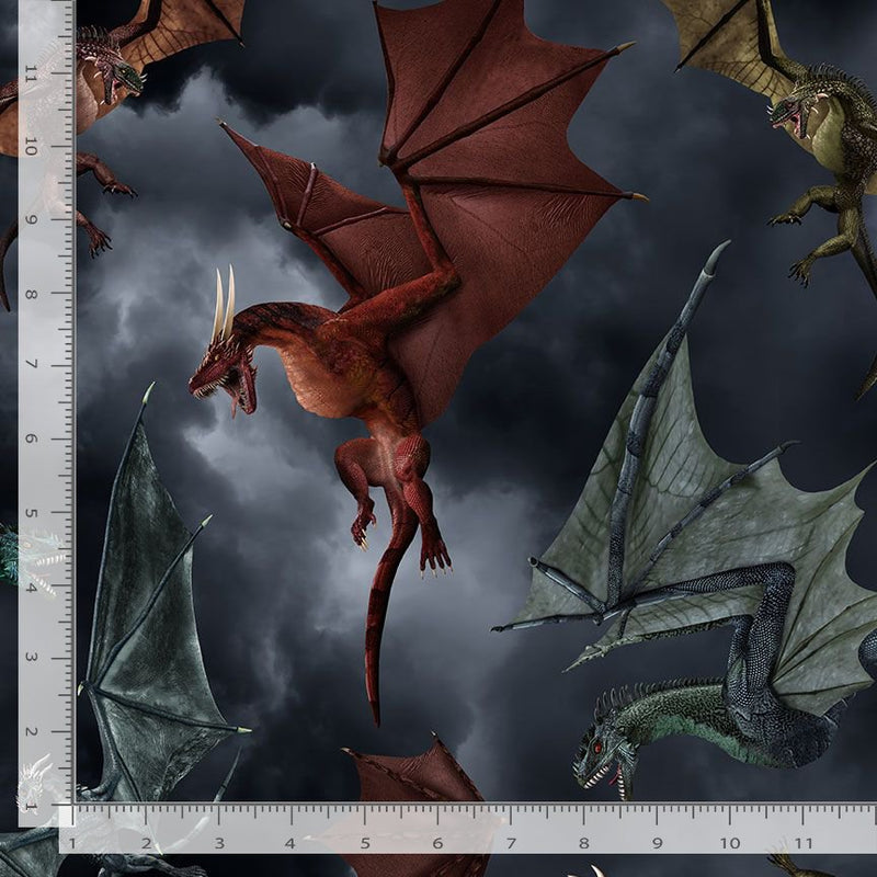 Dragons lair Dragons battle 0,5m