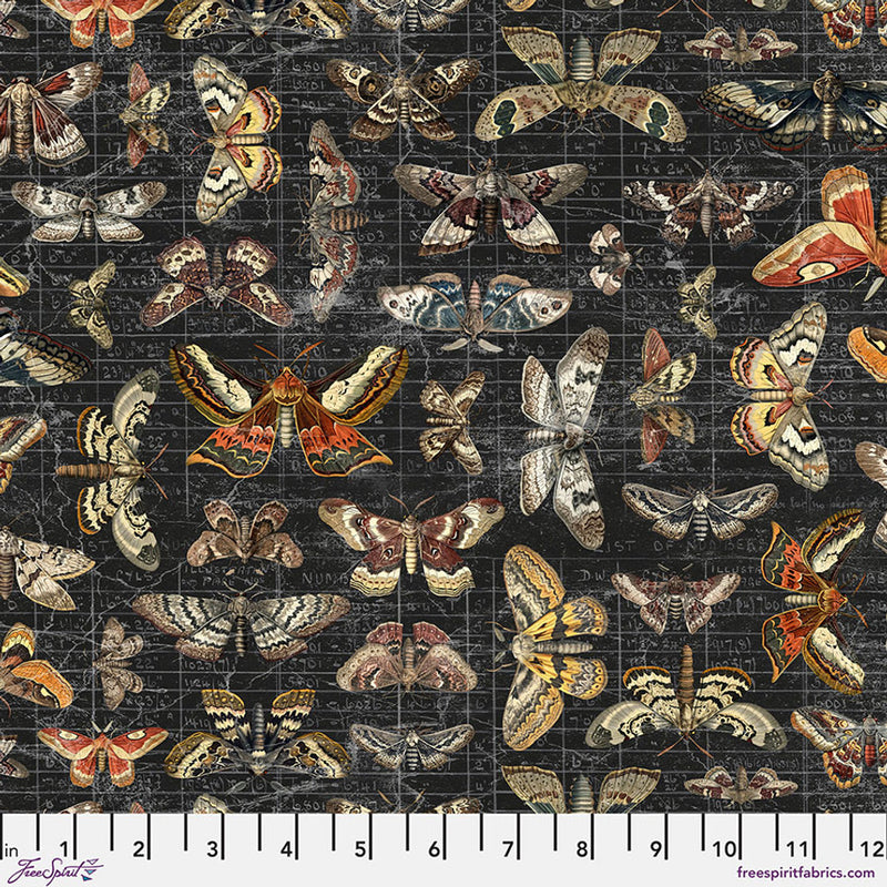 Tim Holtz Palette Seasonal Halloween Moth Study 0,5m