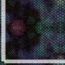 Dragons lair Dragon skin Pr dm