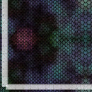 Dragons lair Dragon skin Pr dm