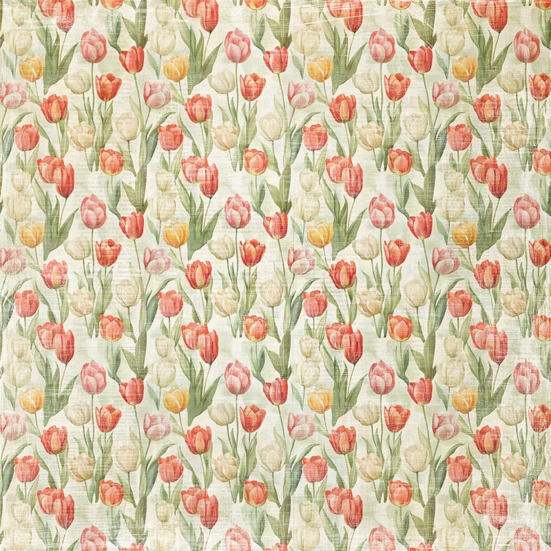 Reprint - Hello Easter Tulips - 12x12