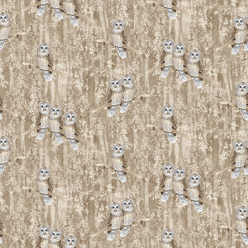 Jaded forest Owls 0,5m