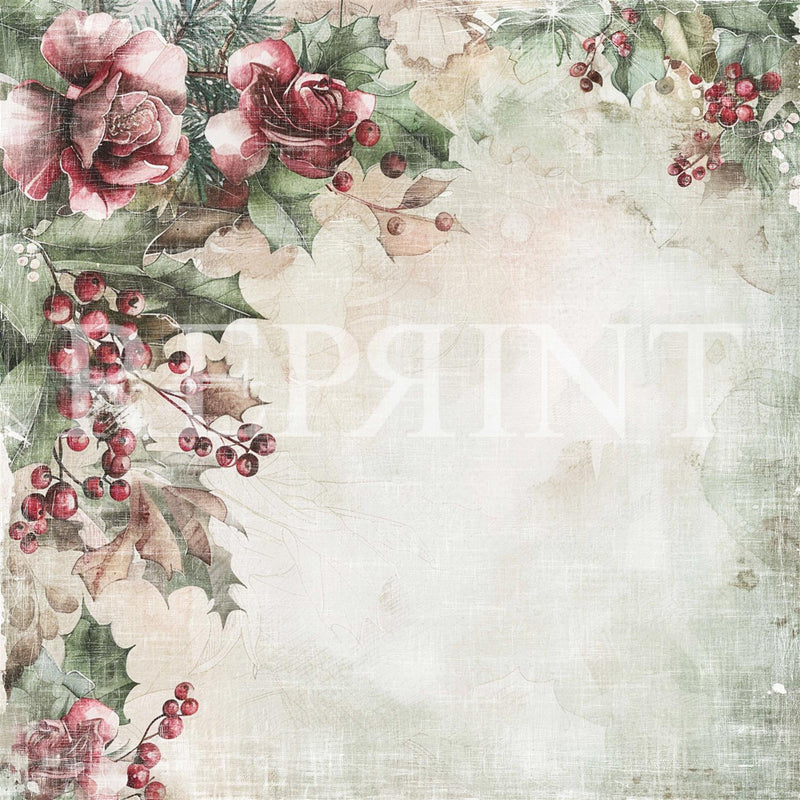 Reprint - X-mas Rose - 12x12