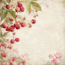 Reprint -Summer Garden Raspberries - 12x12