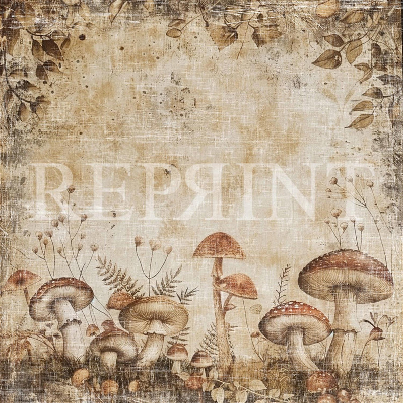 Reprint - Mushroom Fall - 12x12