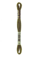 DMC 730 Very dark olive green