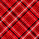 Snow crew Bias Large Plaid Pr dm