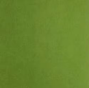 Reprint Cardstock Moss 25 stk