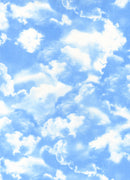 Sky Pr dm