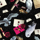 Harry Potter Hedvig 0,5m