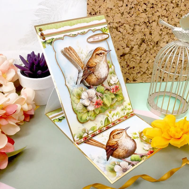 Beautiful Birds Deco-Large Set - Wee Wren