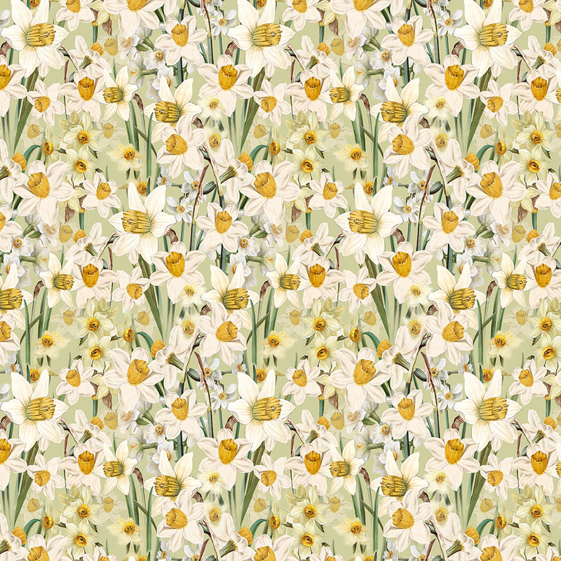 Spring Garden Digital Daffodils 0,5m