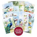 The Little Book of Beautiful Birds