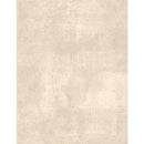 Dry brush Taupe Pr dm