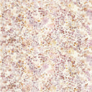 Reprint - Congrats - 12x12 Dots