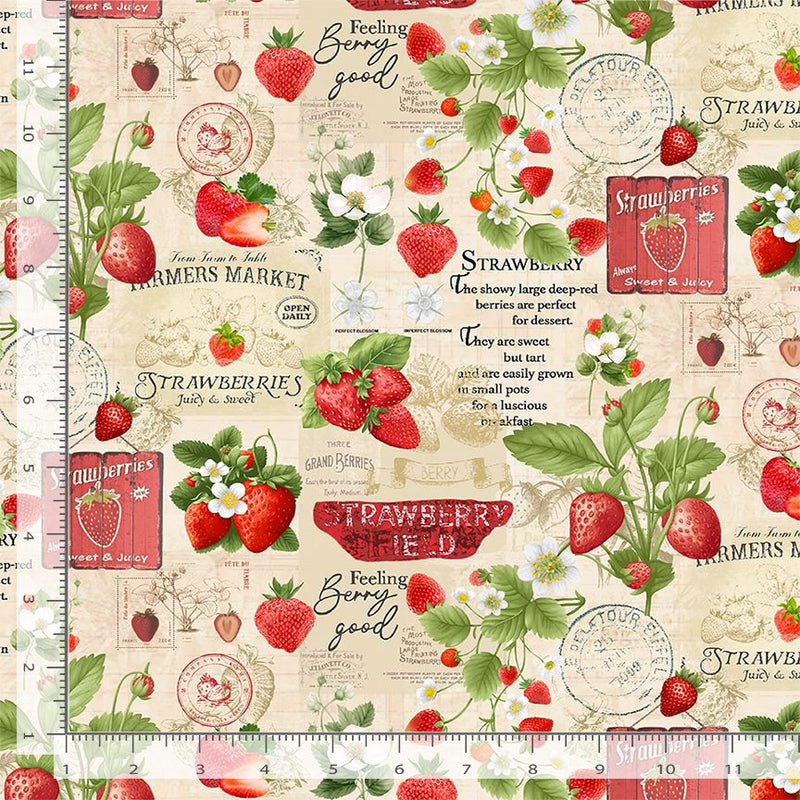 STRAWBERRIES MARKET COLLAGE 0,5m