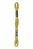 DMC 834 Very light golden olive