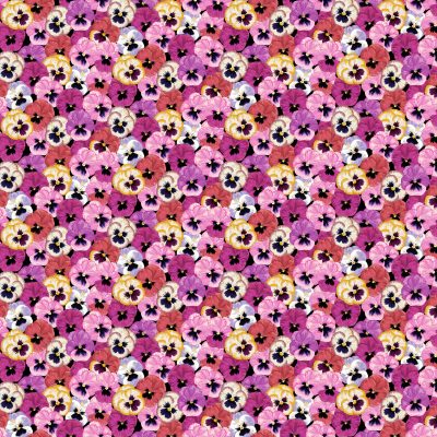 Summer days Pansies 0,5m
