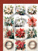 Motivark Juleblomster