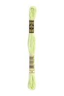 14 DMC cabbage green (light)