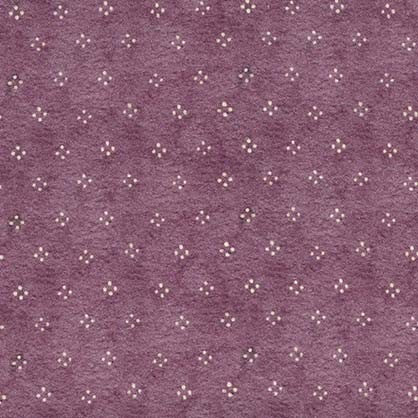 Bear family portrait Purple Pr dm