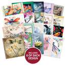 The Square Little Book of Dragonflies