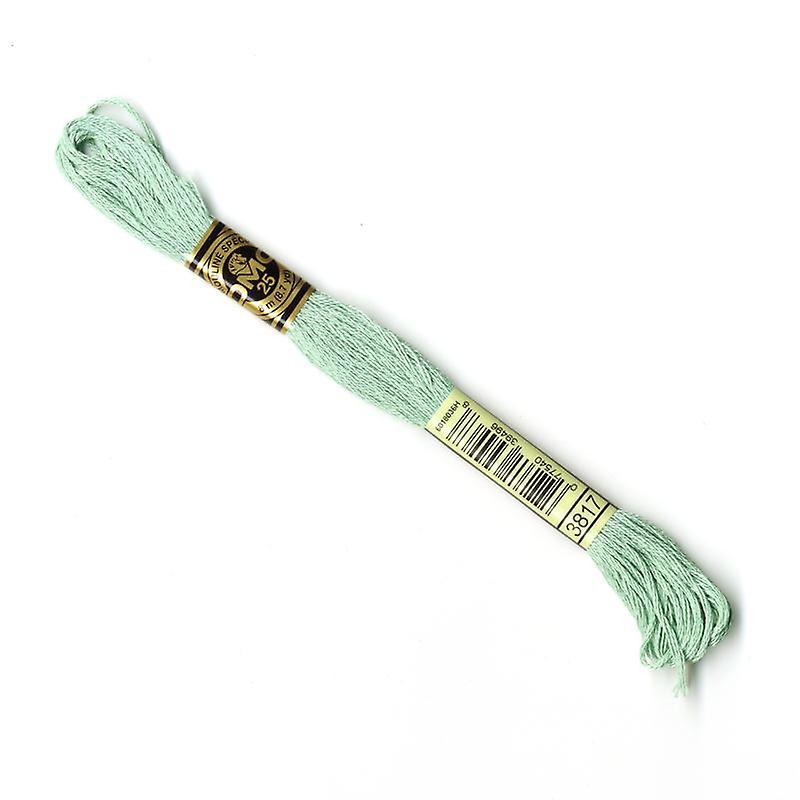 DMC 3817 Light celadon green