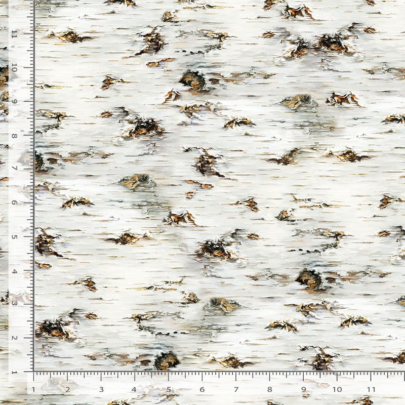 BIRCH TREE TEXTURE 0,5m