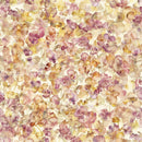 Reprint - Congrats - 12x12 Dots