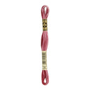 DMC 99  variegated Rasberry