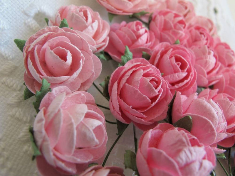 Pion lys rosa ca 2 cm