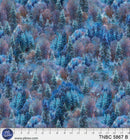 The night before christmas multi 0,5m