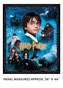 Harry Potter Stort panel