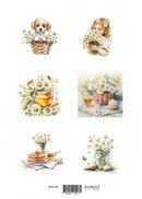 Klippark - Summer 2 - A4