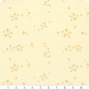 The season of tribute TWINKLESTAR 0,5m