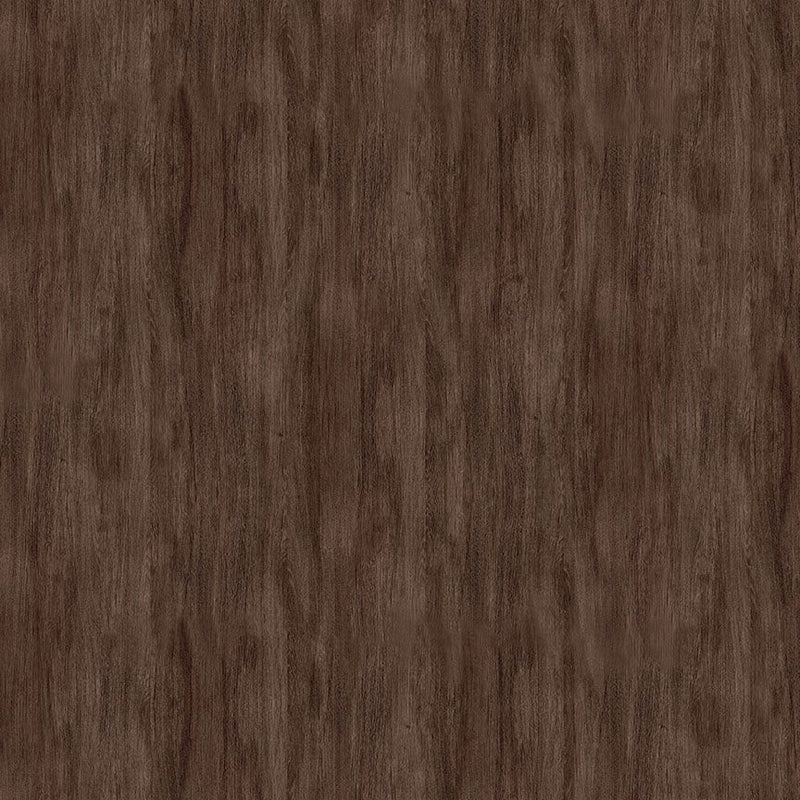 Winter woodland WOODGRAIN TEXTURE 0,5m