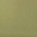 Reprint Cardstock Olive 25 stk