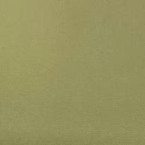 Reprint Cardstock Olive 25pk