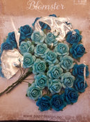 Roser 1,8 cm turkise